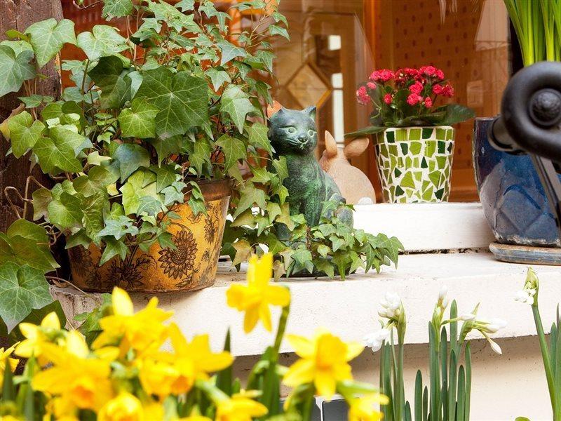 Hotel D'Albion ปารีส ภายนอก รูปภาพ